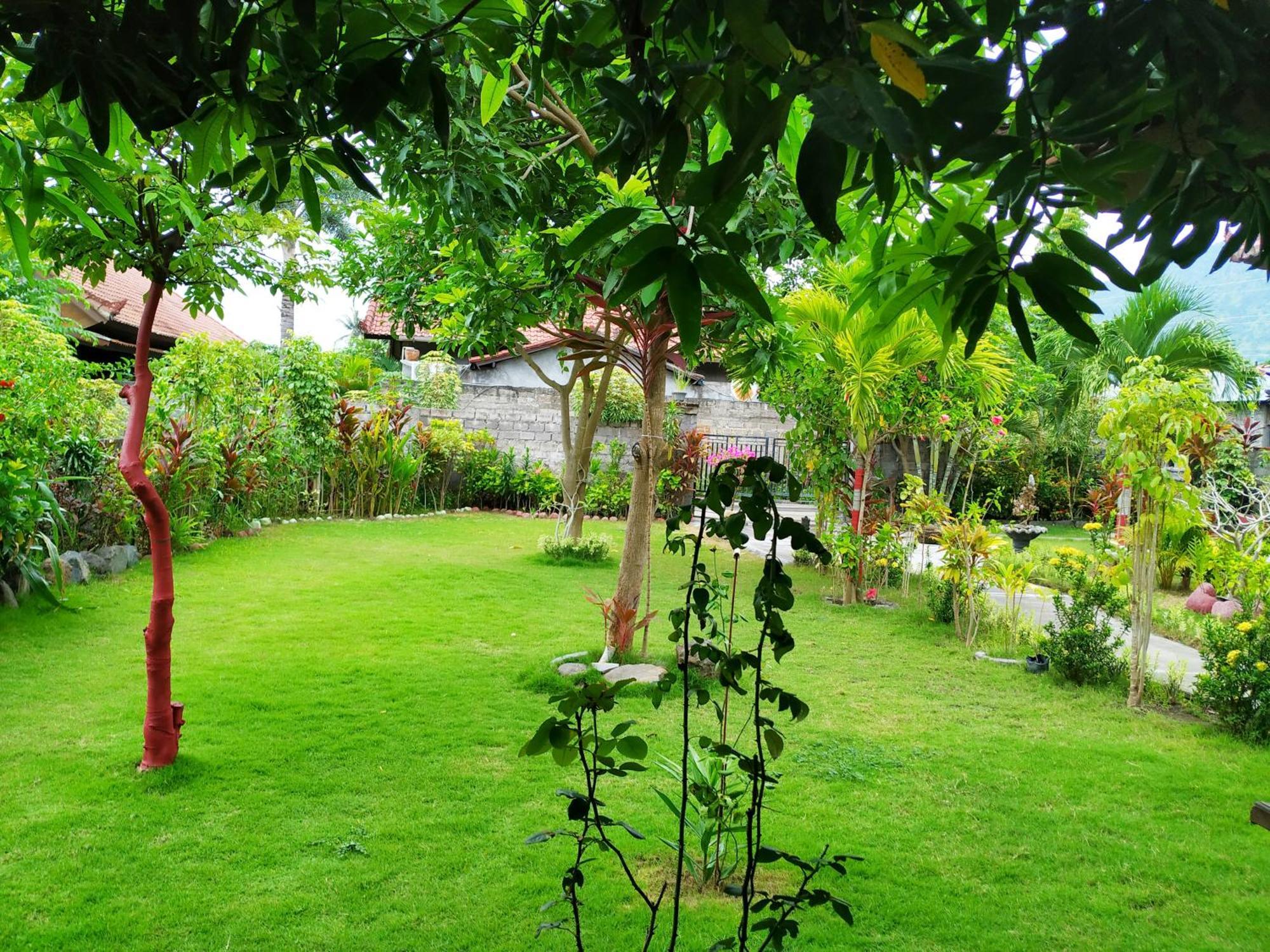 Asih Pemuteran